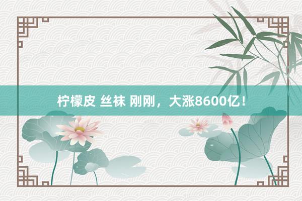 柠檬皮 丝袜 刚刚，大涨8600亿！