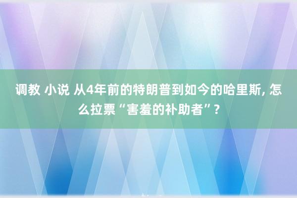调教 小说 从4年前的特朗普到如今的哈里斯， 怎么拉票“害羞的补助者”?
