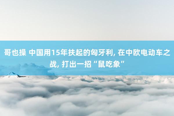哥也操 中国用15年扶起的匈牙利， 在中欧电动车之战， 打出一招“鼠吃象”