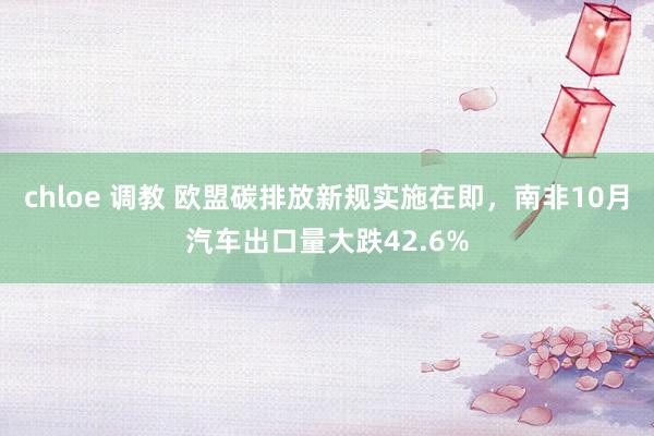 chloe 调教 欧盟碳排放新规实施在即，南非10月汽车出口量大跌42.6%