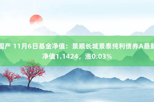 国产 11月6日基金净值：景顺长城景泰纯利债券A最新净值1.1424，涨0.03%