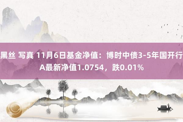 黑丝 写真 11月6日基金净值：博时中债3-5年国开行A最新净值1.0754，跌0.01%