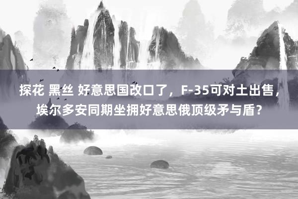 探花 黑丝 好意思国改口了，F-35可对土出售，埃尔多安同期坐拥好意思俄顶级矛与盾？