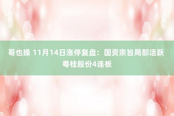 哥也操 11月14日涨停复盘:国资宗旨局部活跃 粤桂股份4连板