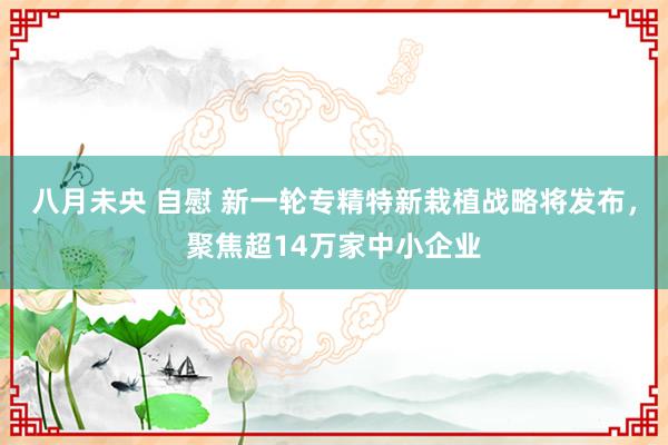 八月未央 自慰 新一轮专精特新栽植战略将发布，聚焦超14万家中小企业