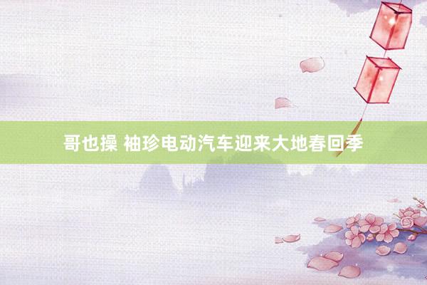 哥也操 袖珍电动汽车迎来大地春回季