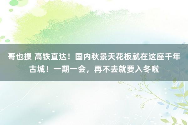 哥也操 高铁直达！国内秋景天花板就在这座千年古城！一期一会，再不去就要入冬啦