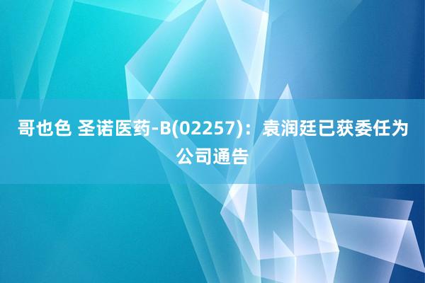 哥也色 圣诺医药-B(02257)：袁润廷已获委任为公司通告