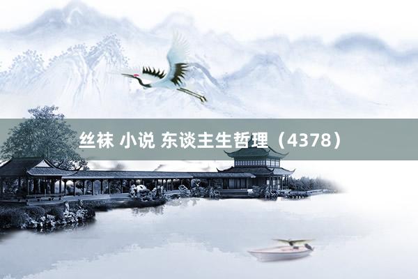 丝袜 小说 东谈主生哲理（4378）