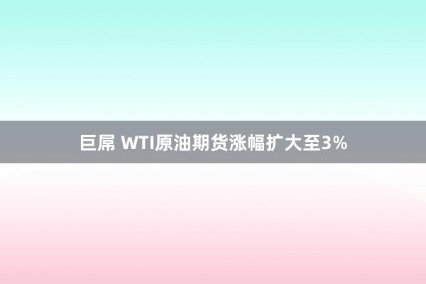 巨屌 WTI原油期货涨幅扩大至3%
