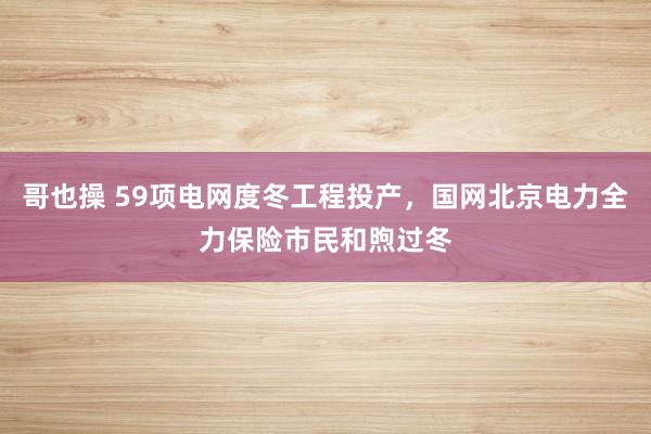 哥也操 59项电网度冬工程投产，国网北京电力全力保险市民和煦过冬