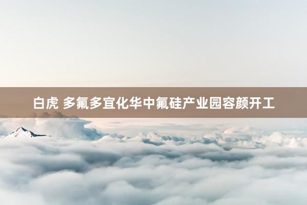 白虎 多氟多宜化华中氟硅产业园容颜开工