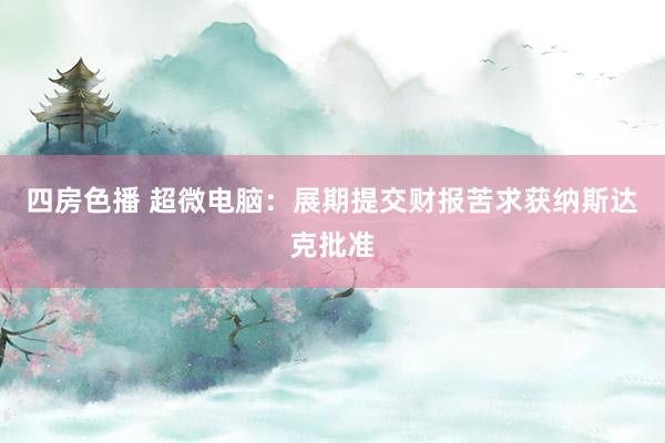 四房色播 超微电脑：展期提交财报苦求获纳斯达克批准