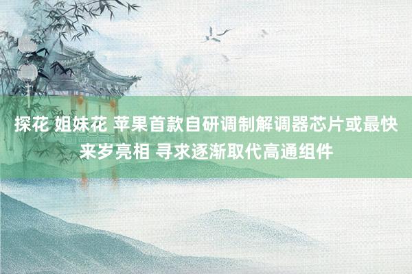 探花 姐妹花 苹果首款自研调制解调器芯片或最快来岁亮相 寻求逐渐取代高通组件