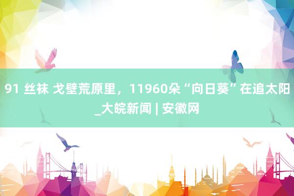 91 丝袜 戈壁荒原里，11960朵“向日葵”在追太阳_大皖新闻 | 安徽网