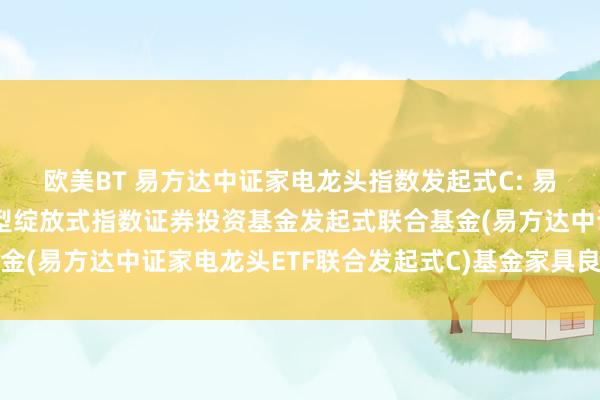 欧美BT 易方达中证家电龙头指数发起式C: 易方达中证家电龙头往来型绽放式指数证券投资基金发起式联合基金(易方达中证家电龙头ETF联合发起式C)基金家具良友提要更新