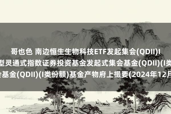 哥也色 南边恒生生物科技ETF发起集会(QDII)I: 南边恒生生物科技往复型灵通式指数证券投资基金发起式集会基金(QDII)(I类份额)基金产物府上撮要(2024年12月更新)