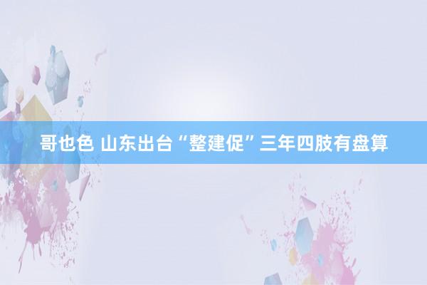 哥也色 山东出台“整建促”三年四肢有盘算