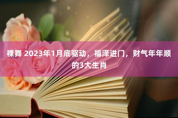裸舞 2023年1月底驱动，福泽进门，财气年年顺的3大生肖