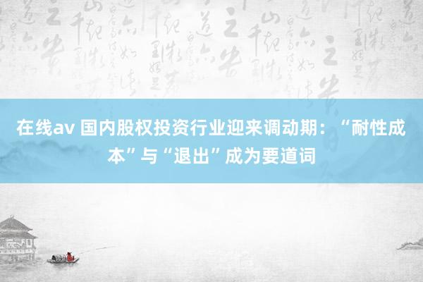 在线av 国内股权投资行业迎来调动期：“耐性成本”与“退出”成为要道词