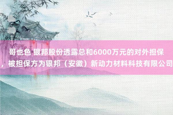 哥也色 银邦股份透露总和6000万元的对外担保，被担保方为银邦（安徽）新动力材料科技有限公司