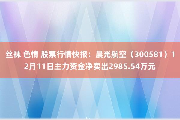 丝袜 色情 股票行情快报：晨光航空（300581）12月11日主力资金净卖出2985.54万元