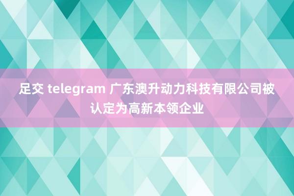 足交 telegram 广东澳升动力科技有限公司被认定为高新本领企业