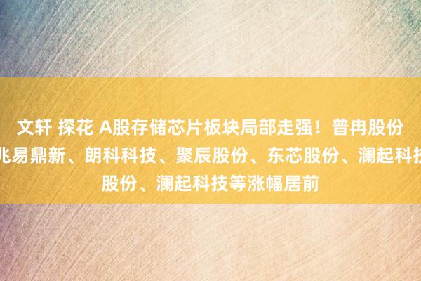 文轩 探花 A股存储芯片板块局部走强！普冉股份涨超15%，兆易鼎新、朗科科技、聚辰股份、东芯股份、澜起科技等涨幅居前