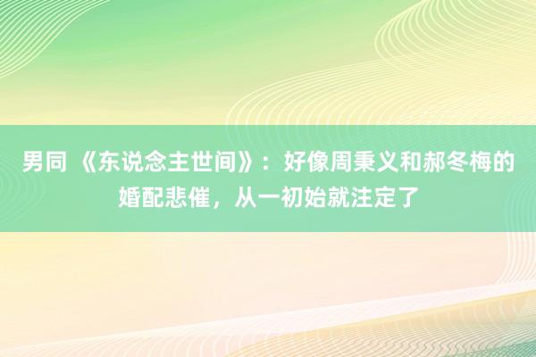 男同 《东说念主世间》：好像周秉义和郝冬梅的婚配悲催，从一初始就注定了