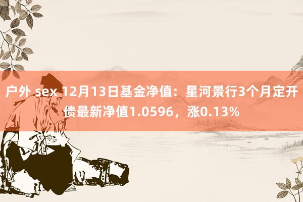 户外 sex 12月13日基金净值：星河景行3个月定开债最新净值1.0596，涨0.13%