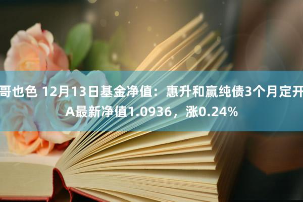 哥也色 12月13日基金净值：惠升和赢纯债3个月定开A最新净值1.0936，涨0.24%