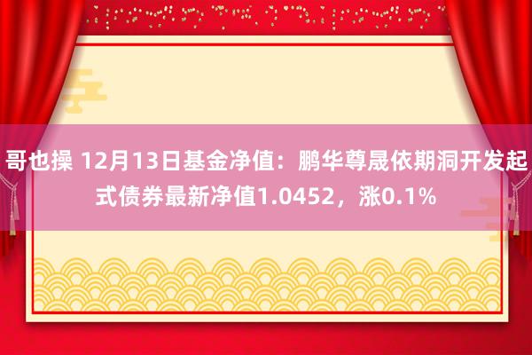 哥也操 12月13日基金净值：鹏华尊晟依期洞开发起式债券最新净值1.0452，涨0.1%