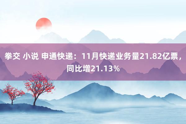 拳交 小说 申通快递：11月快递业务量21.82亿票，同比增21.13%