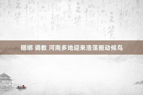 捆绑 调教 河南多地迎来浩荡搬动候鸟