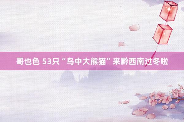 哥也色 53只“鸟中大熊猫”来黔西南过冬啦