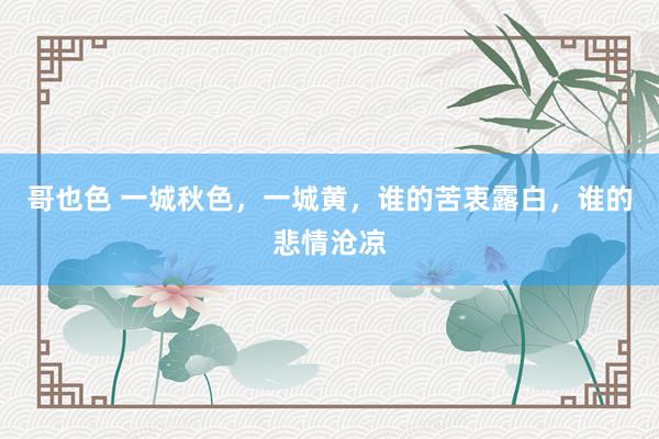 哥也色 一城秋色，一城黄，谁的苦衷露白，谁的悲情沧凉