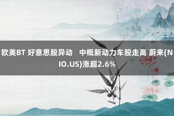 欧美BT 好意思股异动   中概新动力车股走高 蔚来(NIO.US)涨超2.6%