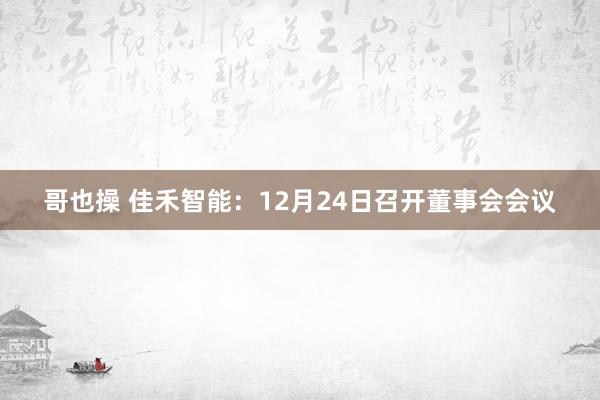 哥也操 佳禾智能：12月24日召开董事会会议