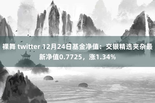 裸舞 twitter 12月24日基金净值：交银精选夹杂最新净值0.7725，涨1.34%