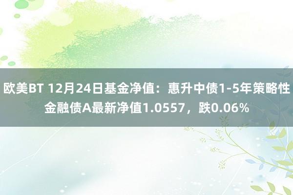 欧美BT 12月24日基金净值：惠升中债1-5年策略性金融债A最新净值1.0557，跌0.06%