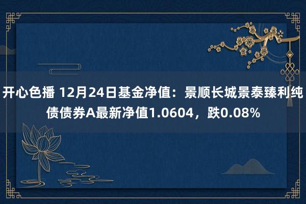 开心色播 12月24日基金净值：景顺长城景泰臻利纯债债券A最新净值1.0604，跌0.08%