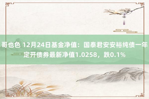 哥也色 12月24日基金净值：国泰君安安裕纯债一年定开债券最新净值1.0258，跌0.1%