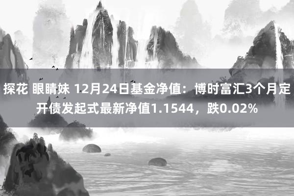 探花 眼睛妹 12月24日基金净值：博时富汇3个月定开债发起式最新净值1.1544，跌0.02%