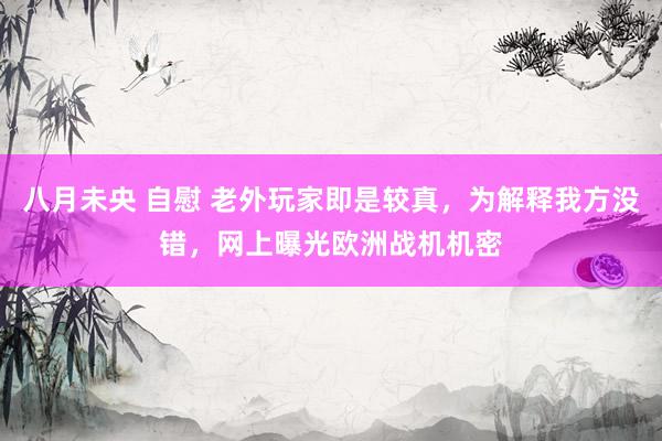 八月未央 自慰 老外玩家即是较真，为解释我方没错，网上曝光欧洲战机机密