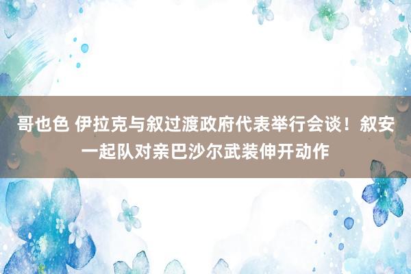 哥也色 伊拉克与叙过渡政府代表举行会谈！叙安一起队对亲巴沙尔武装伸开动作
