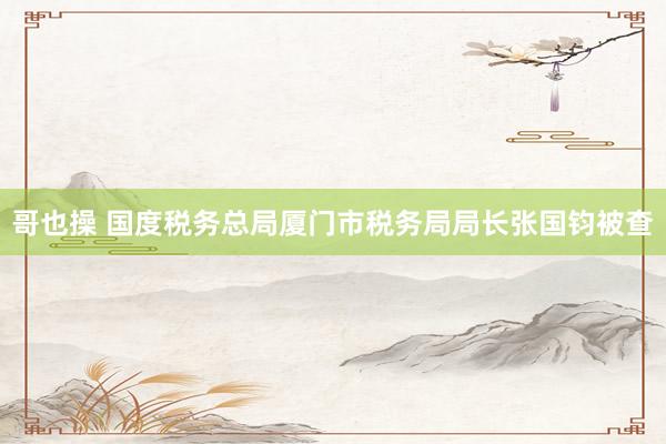 哥也操 国度税务总局厦门市税务局局长张国钧被查