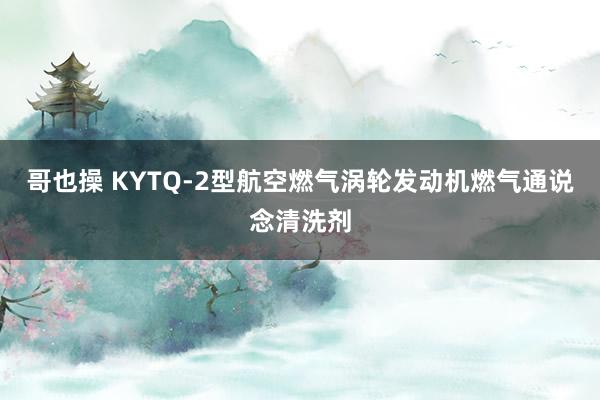 哥也操 KYTQ-2型航空燃气涡轮发动机燃气通说念清洗剂