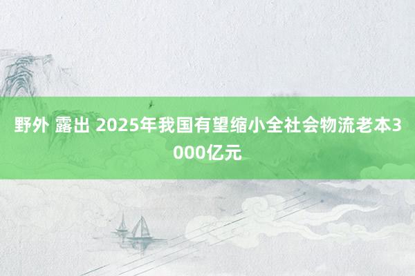 野外 露出 2025年我国有望缩小全社会物流老本3000亿元