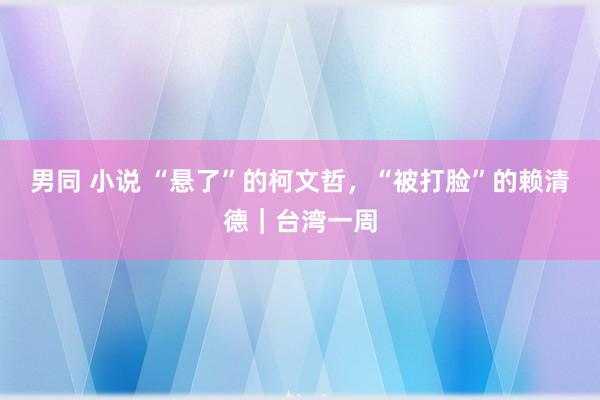 男同 小说 “悬了”的柯文哲，“被打脸”的赖清德｜台湾一周