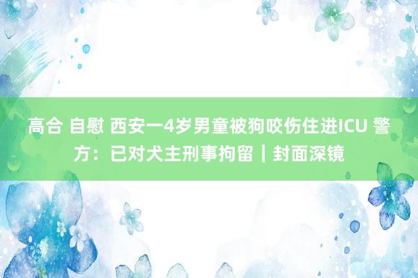 高合 自慰 西安一4岁男童被狗咬伤住进ICU 警方：已对犬主刑事拘留｜封面深镜